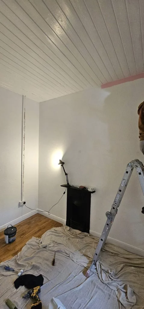 interior painting wallpaper bedroom glanmire — image 03